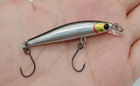 40 off 2-Single Hooked Minnow. Floating